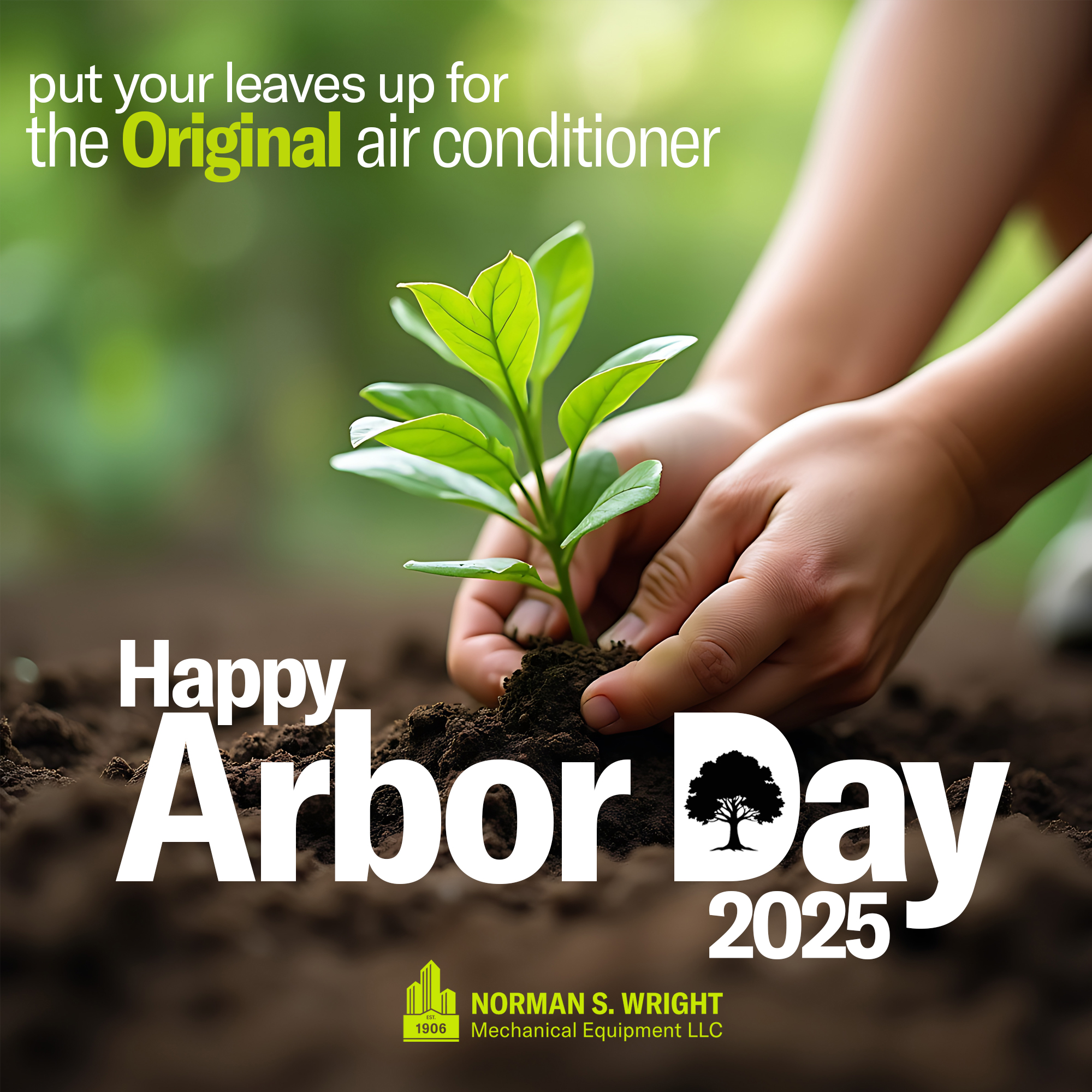 ArborDay2025_NSW